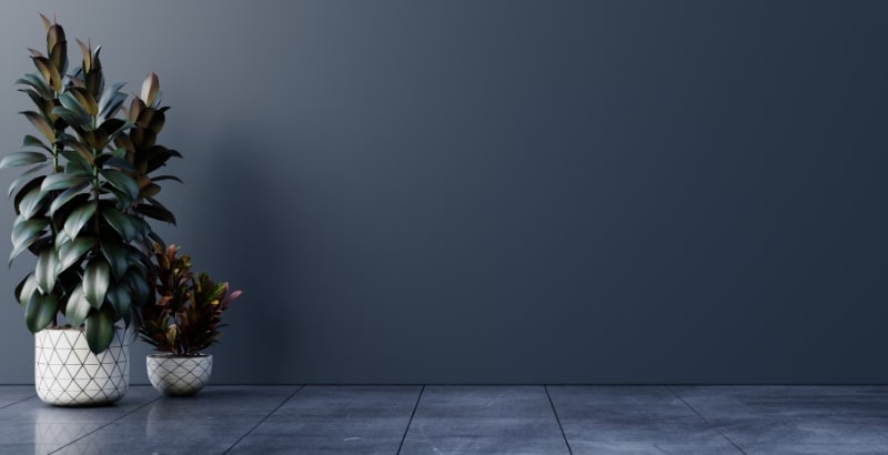 Wall Painters in Dubai